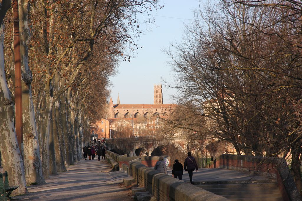 Les bords de Garonne